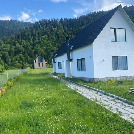 White House Near Borjomi Sadgeri公寓 外观 照片