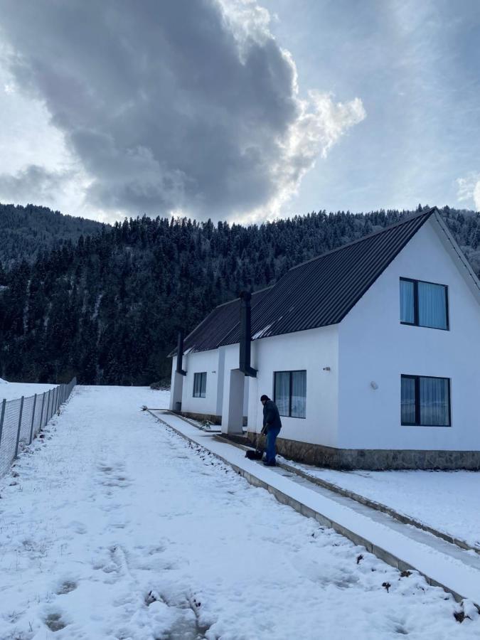 White House Near Borjomi Sadgeri公寓 外观 照片