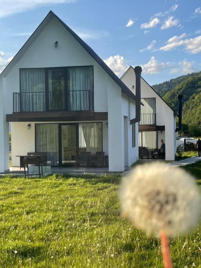 White House Near Borjomi Sadgeri公寓 外观 照片