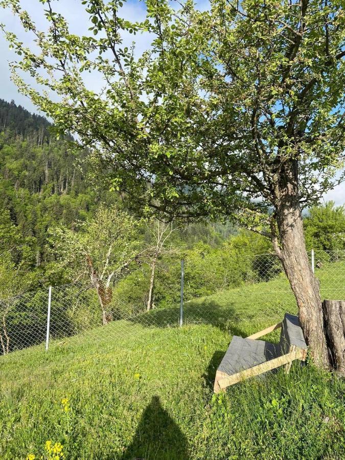 White House Near Borjomi Sadgeri公寓 外观 照片