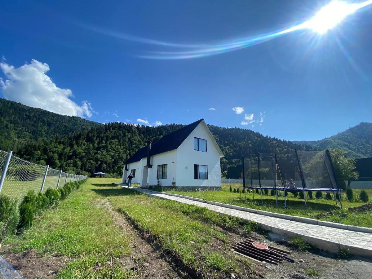 White House Near Borjomi Sadgeri公寓 外观 照片